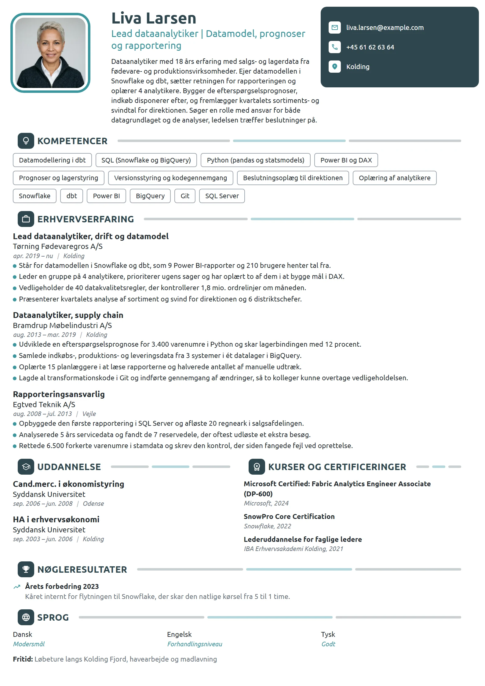 CV-eksempel til lead dataanalytiker med teamansvar