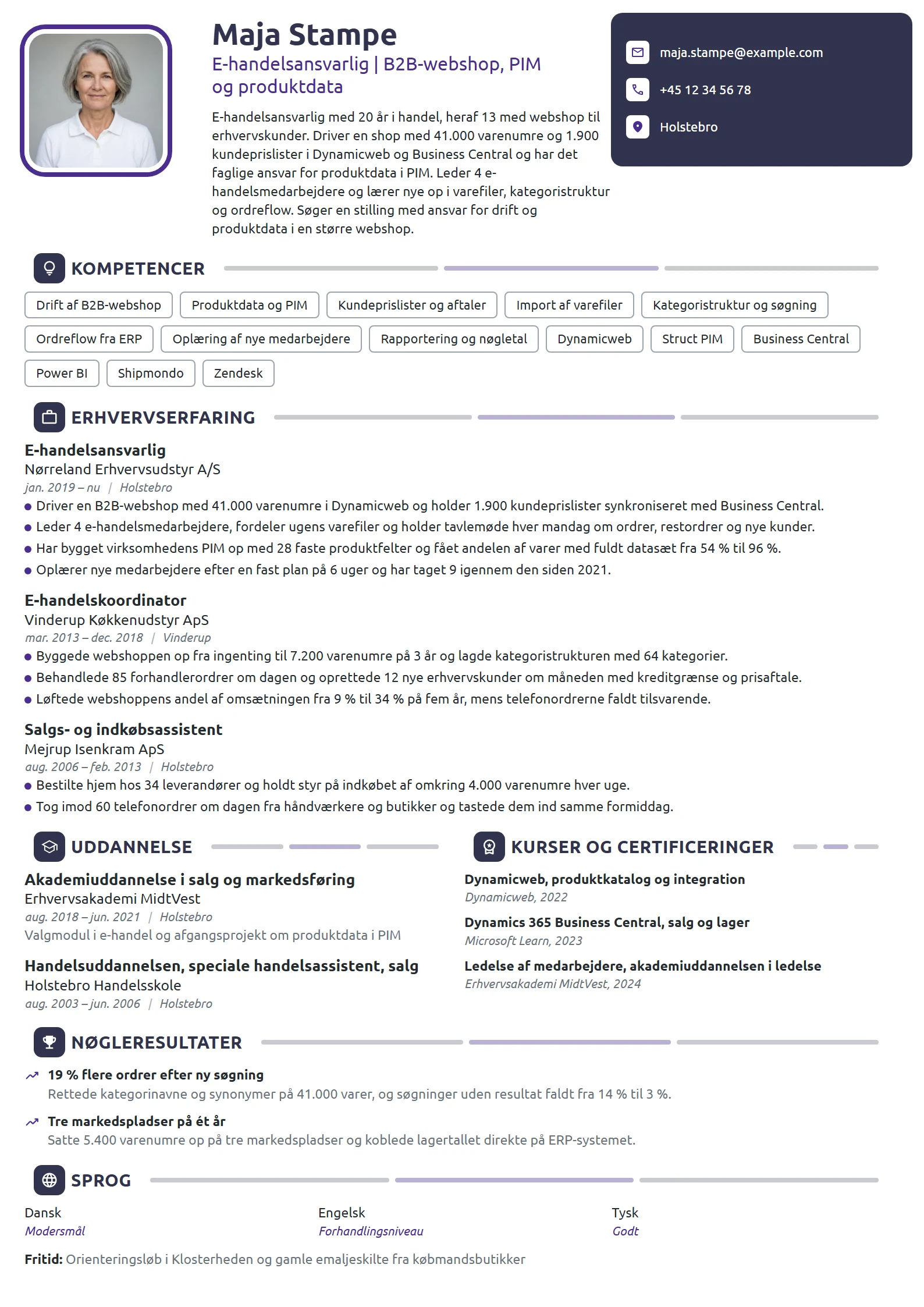 CV-eksempel til e-handelsansvarlig i B2B-webshop