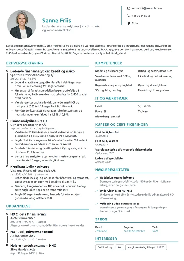 CV-eksempel til ledende analytiker, kredit og risiko