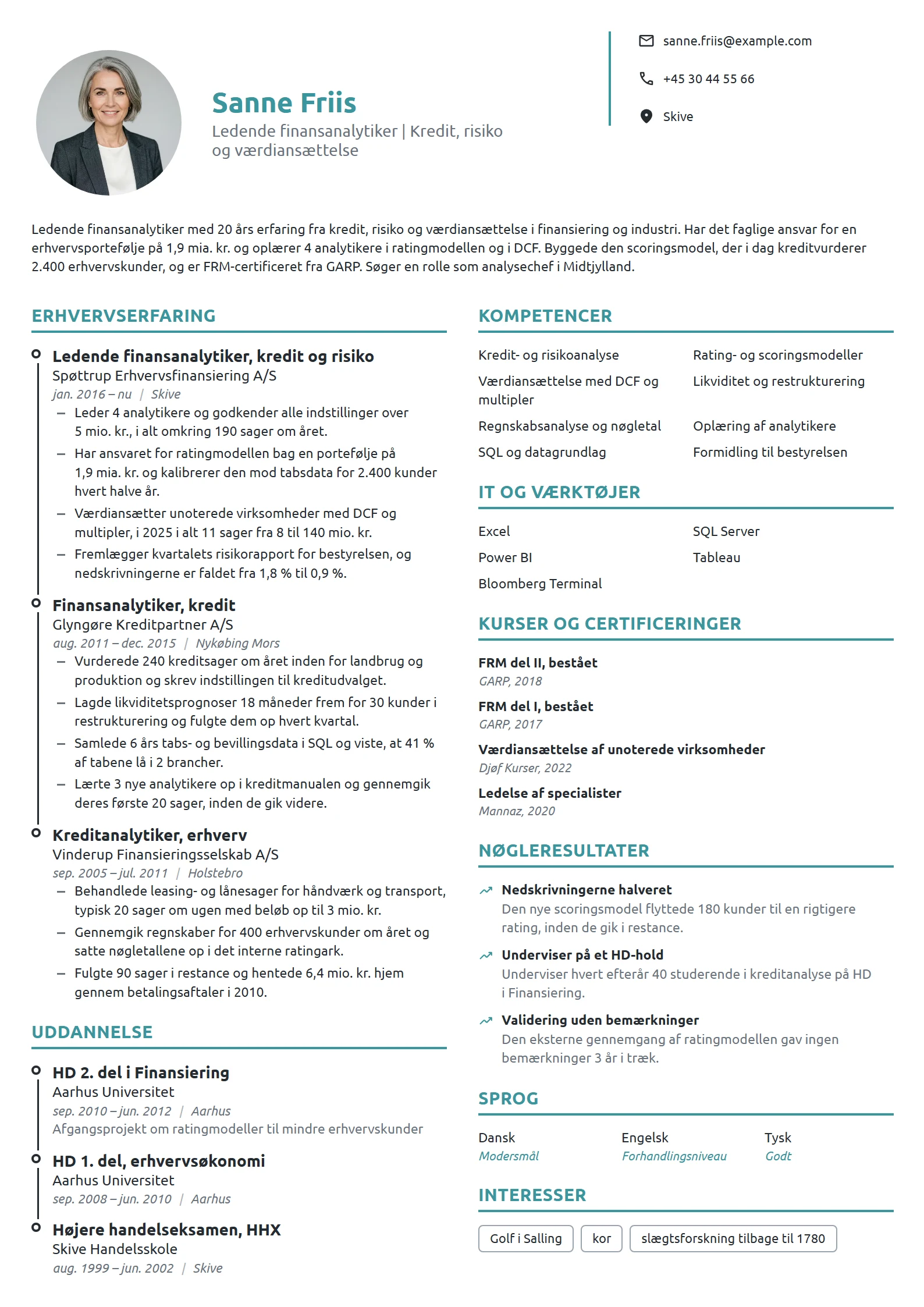 CV-eksempel til ledende analytiker, kredit og risiko