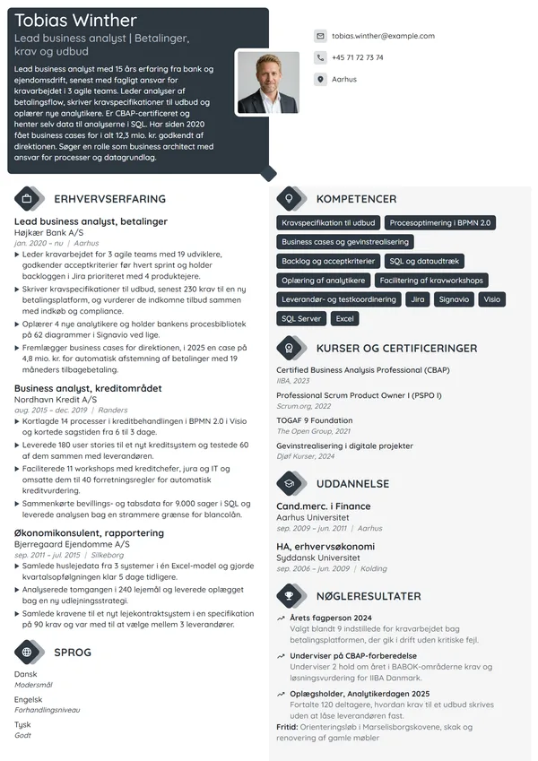CV-eksempel til lead business analyst i finans