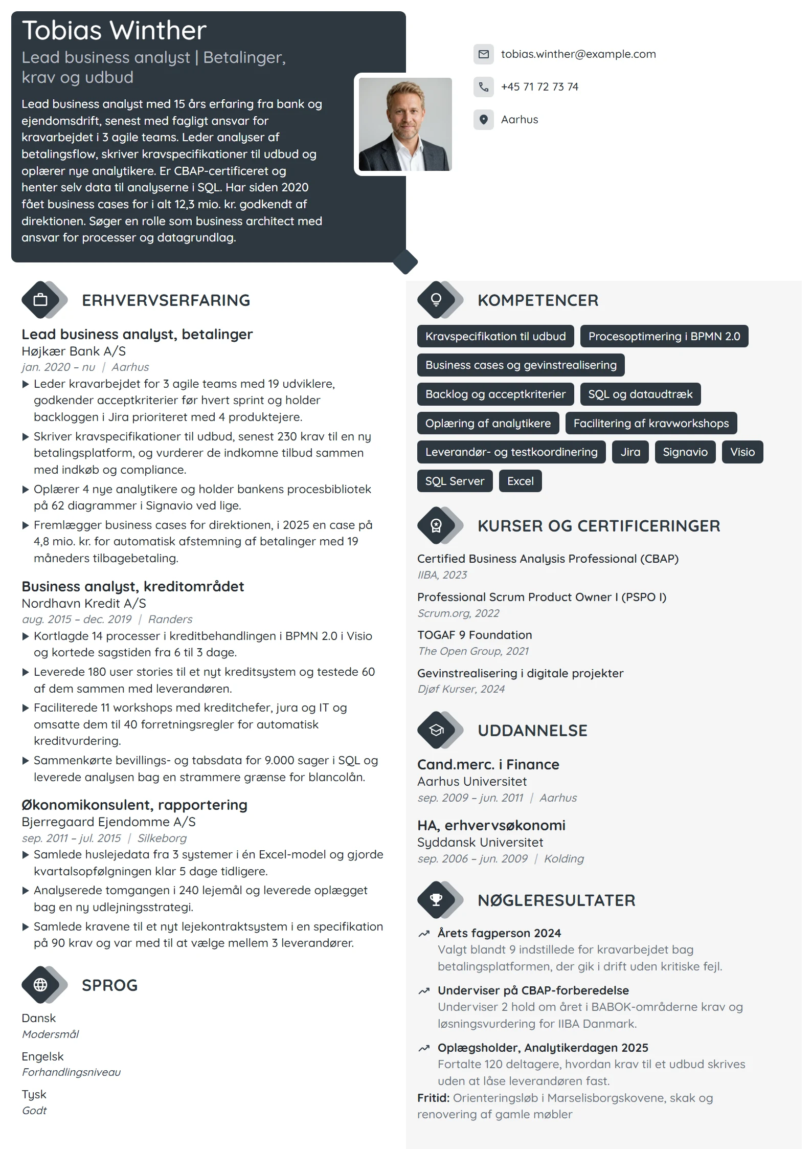 CV-eksempel til lead business analyst i finans