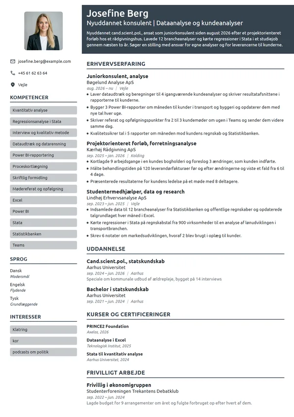 CV-eksempel til nyuddannet konsulent, analyse