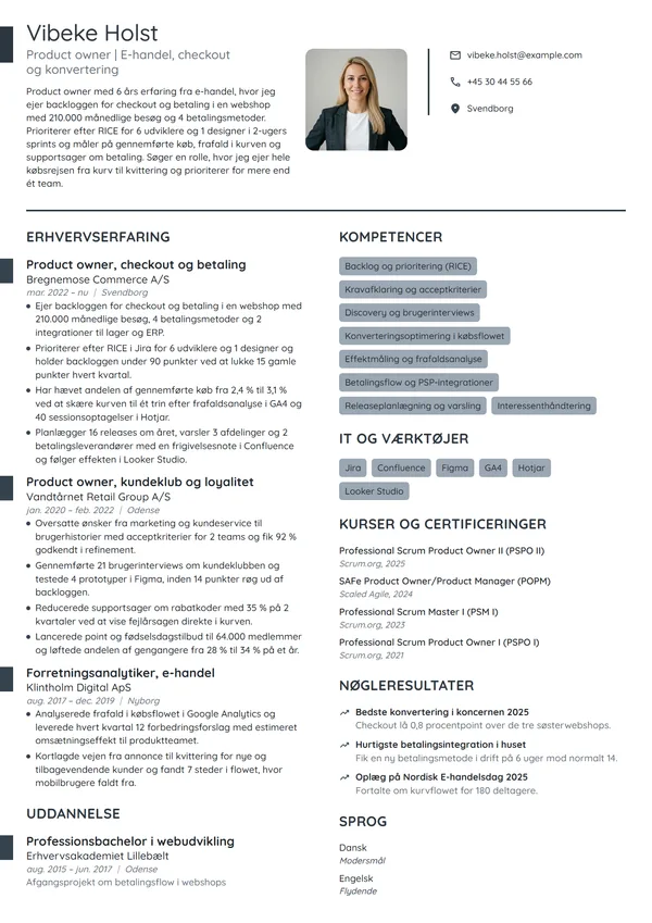 CV-eksempel til erfaren product owner i e-handel