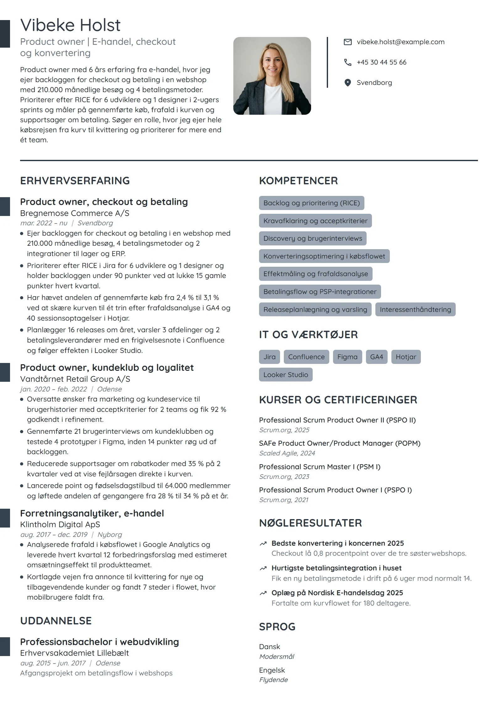 CV-eksempel til erfaren product owner i e-handel
