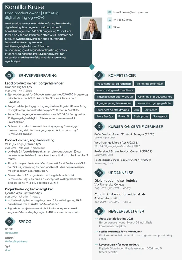 CV-eksempel til lead product owner, offentlig it