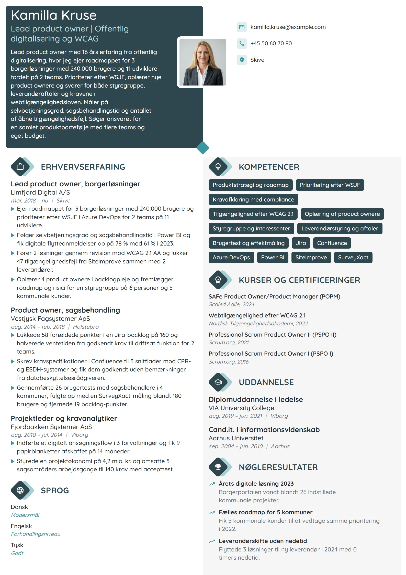 CV-eksempel til lead product owner, offentlig it