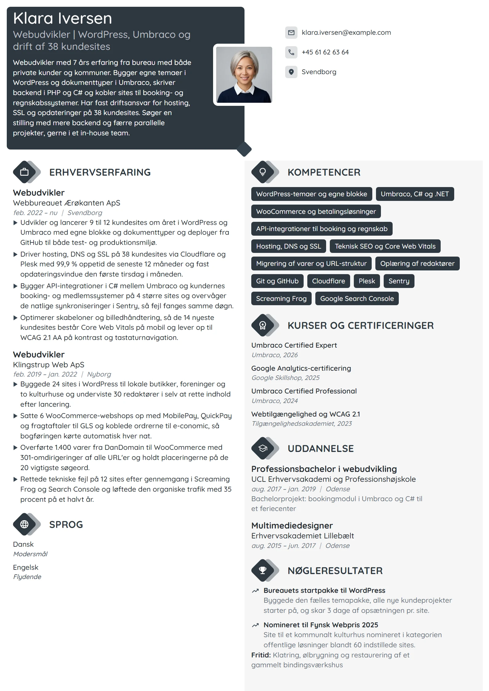 CV-eksempel til erfaren webudvikler i bureau
